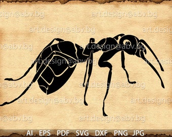 Vector ANT, AI, eps, pdf, SVG, dxf, png, jpg Download, Digital image, graphical, discount coupons