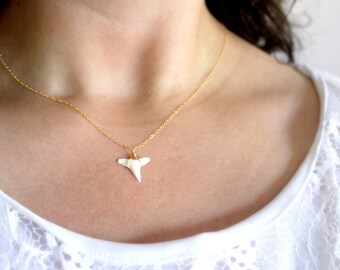 Dainty Shark Tooth Necklace, Real Shark Tooth Pendant, Gold Shark Tooth Necklace, Delicate Gold Necklace, Genuine Shark Tooth Necklace
