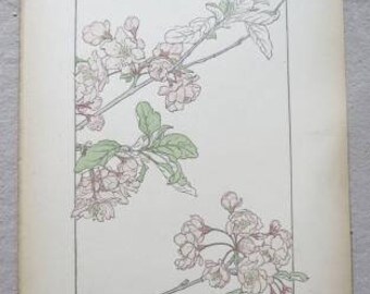J Foord Antique Botanical Pochoir Print Pyrus Spectabilis +2 Bonus Pages