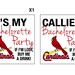 Bachelorette Party Temporary Tattoos - If I am Lost, Please Buy Me A Drink - Wedding Tattoo - Bachelorette Favor Cardinals