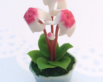 Miniature Flower,Miniature Flower Pot,Miniature Vase,Dollhouse Flower,Miniature Garden,Dollhouse Flower Pot,Dollhouse,Miniatures