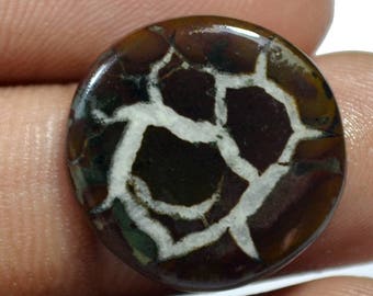 Superior 10 Ct. AAA Quality Natural Septarian Gronates 19x19x3 mm - Round Shape Handmade Cabochon Loose Gemstone - Jewelry