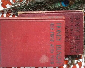 Antique Honey Bunch Books