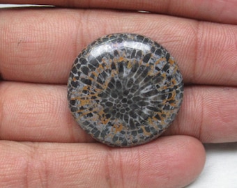 Black Fossil coral cabochon ET3547