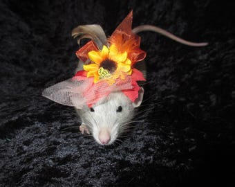 Sunflower Fancy Rat Hat