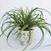 Artificial Greenery Arrangement - Green - Artificial Flowers - Toile Vase