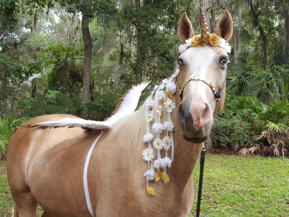 Engel Einhorn Pferd magische Einhorn Kostüm für Minis