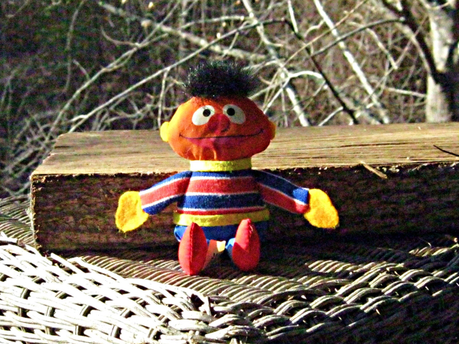 stuffed ernie