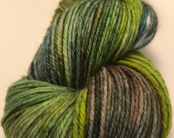 Fall in the Flathead-Hand Dyed DK Weight Yarn-75/25 SW Merino/Nylon