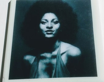 Pam Grier coaster action star Blaxploitation cult Coffy Foxy Brown Scream Blacula Scream Jackie Brown The L Word Big Bird Cage Friday Foster
