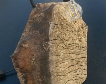 table lamp or desk, driftwood, industrial side
