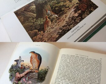 Natual History, British Game 1940s illustrated - Colour plates Vintage Hardback Countryside england