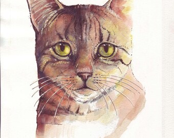 Cat Portrait print of my original
