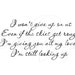 I wont give up on us Quote Vinyl Wall Lettering Decal 39