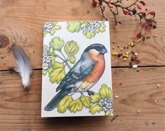 Recycled notepad with Bullfinch bird design