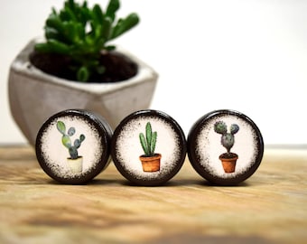 Succulent Pill Boxes - Set of Three, pill box, Jewelry Box, Trinket Boxes, Wood Box, Wooden box, Prickled Pots, Cactus, Trendy, Bohemian