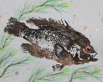 ORIGINAL Rock Bass GYOTAKU ( Fish Rubbing ) on Grey Handmade Paper 8 X 10 Lake Art Fishing Fisherman Decor by Barry Singer