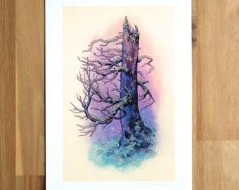 Gnarled Tree - Fine Art Print by Nicole Gustafsson