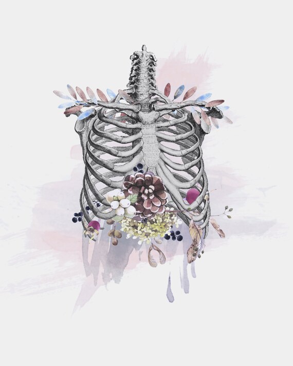 Rib-cage and Flowers