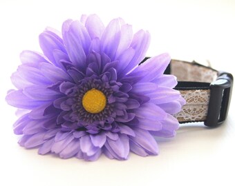 Lavender Silk Flower Dog Collar Attachment