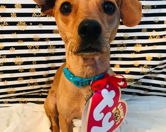 Photo realistic TY Beanie Baby Heart Tag - Dog & Pet Halloween Costume - Photo Prop- Customizable!