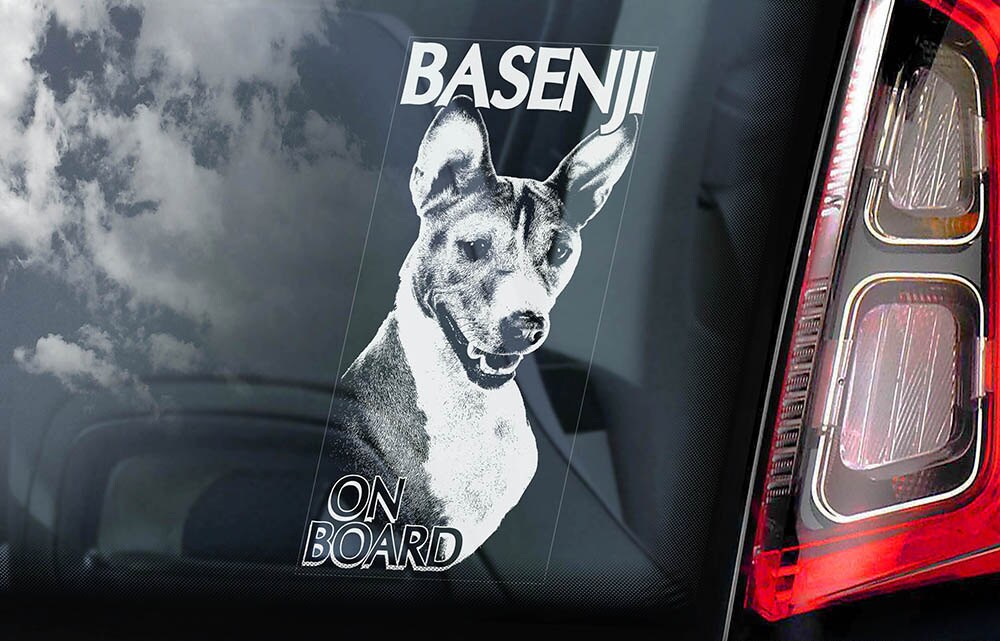 Basenji on Board - Car Window Sticker - Ango Angari Basenji on Board - Car Window Sticker - Ango Angari