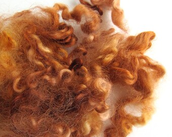 Golden Brown Sheep Locks - Sheep Curls - Waldorf - Spinning Wool Curls - Leicester Lamb - 1/2oz