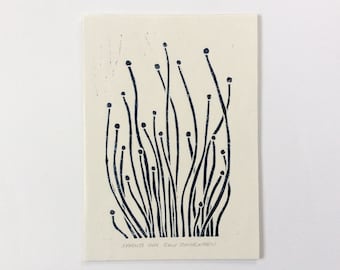 linocut - SPROUTS // 5x7 art print // block print // printmaking // dark blue // minimalist // nature art // seedlings // miniature // 4x6