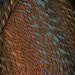 Dynamo 0023 CEDAR BLUFF - Encore - 75 percent acrylic - 25 percent wool - easy care