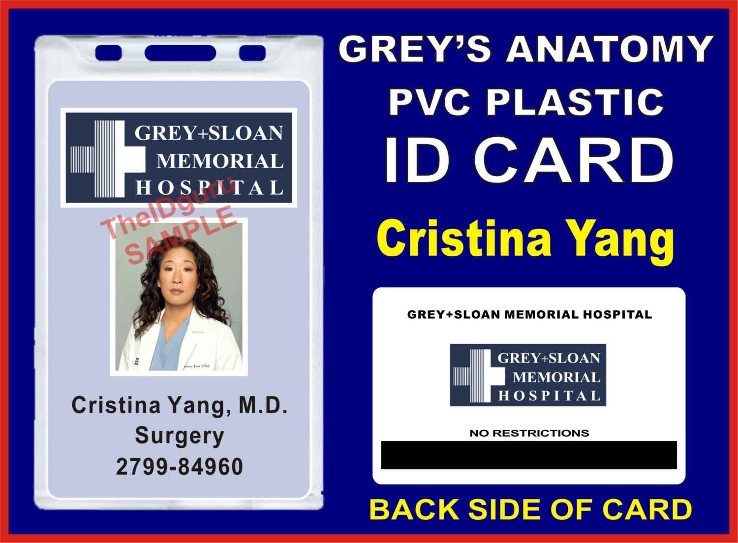 Greys Anatomy Cristina Yang Ausweis / Karte Prop