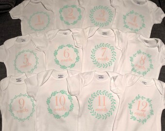 Monthly Onesies - Milestone Onesies, 1 month, 2 month - Baby Girl