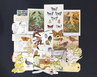 Unique Vintage Nature / Natural History Ephemera and neutral collected paper pack