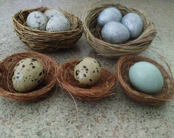 3 Eggs in Nest, ornament: Absolutely Stellar