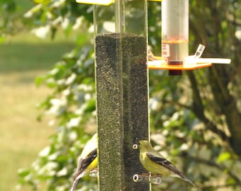 Peter's Feeders T-01 Finch Feeder: The economical and effective way to feed thistle to your birds