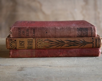 50% OFF: Antique Book Bundle "for Girls" (c.1900 - 1912 - 1920)