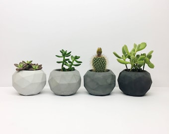 Geometric Concrete Planter