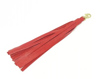 Tassel Zipper Pull | Purse Tassel Jewelry | Handbag Tassel Charm | Tassel Purse Clip | Purse Tassel Charm | Bag Tassel Charm | Handbag Bling