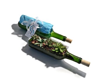 Wine Bottle Succulent Planter Kit - DIY Succulent Planter - Wine Bottle Succulent Planter