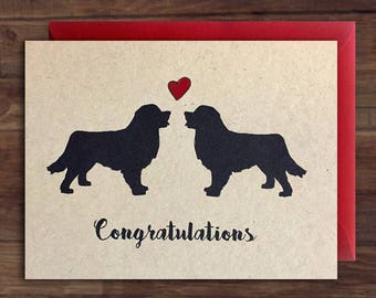 Bernese Mountain Dog // Congratulations // Marriage