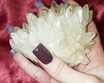Reserve order for sherakahofavalon