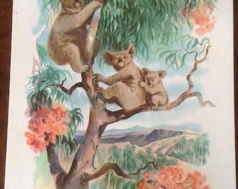 Vintage Louis Macouillard Matson Lines "Australia" Menu Cover - Made in USA - 1950's