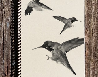 Hummingbird Journal - Hummingbird Notebook - Bird Lover