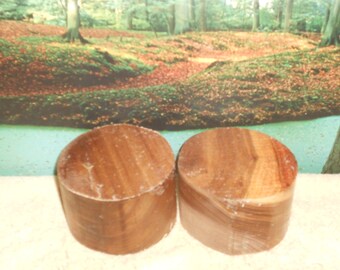 Siberian Red Elm 5 x 3 turning wood bowl, small project blanks #48498