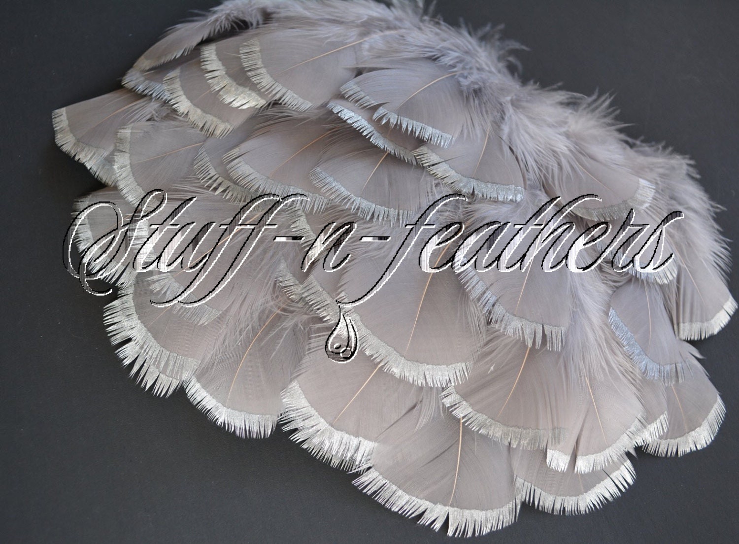 Wholesale / Bulk Silver Dipped Gray feathers silver tips