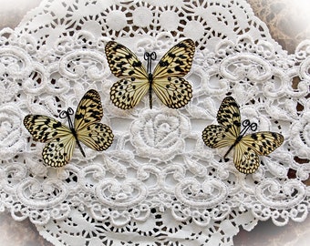 Reneabouquets Butterfly Set Glamorous Premium Paper Butterflies