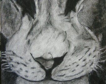 African Male Lion Canvas Sketch