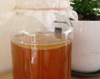 Scoby Kombucha Tea Jar Cover
