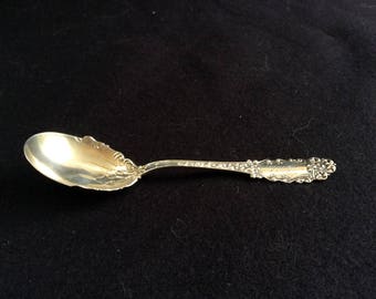 Vintage Sterling Silver Spoon