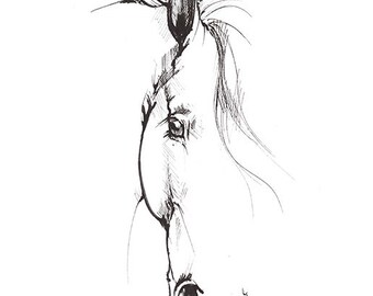 Original pen drawing of a horse