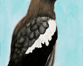 Stellar Sea Eagle Watercolor Bird Print
